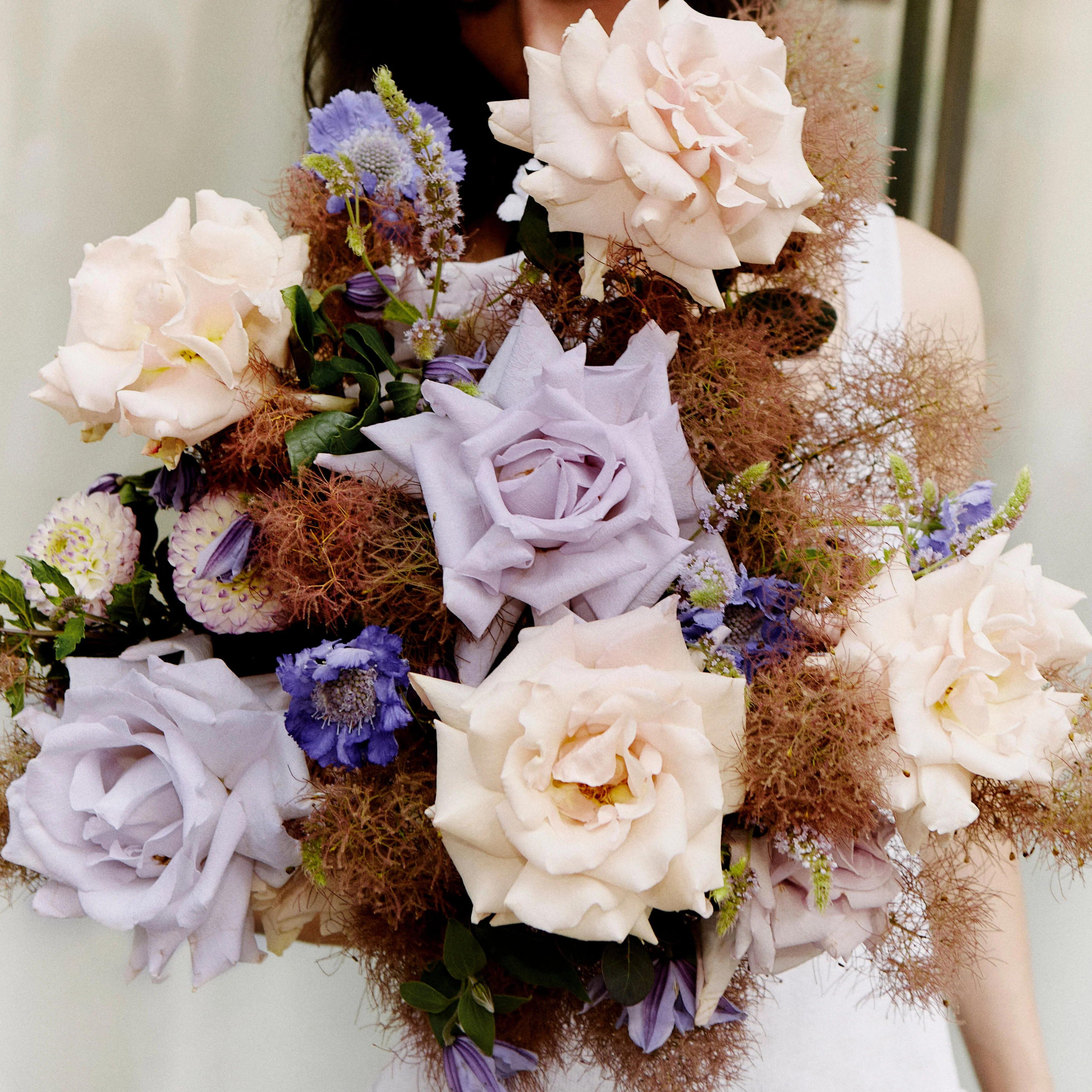 Nikki's Pick of the day - Image 3